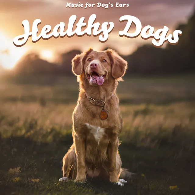 Healthy Dogs