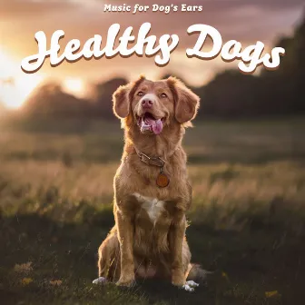 Healthy Dogs by Music for Dog's Ears