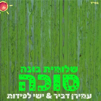 שלומית בונה סוכה by Amiran Dvir