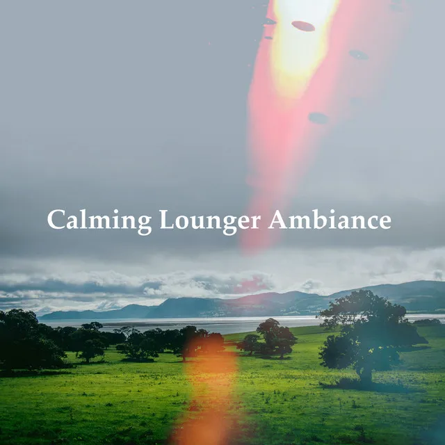 Calming Lounger Ambiance