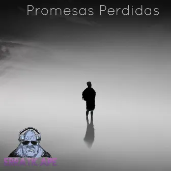 Promesas Perdidas by Erratic Ape