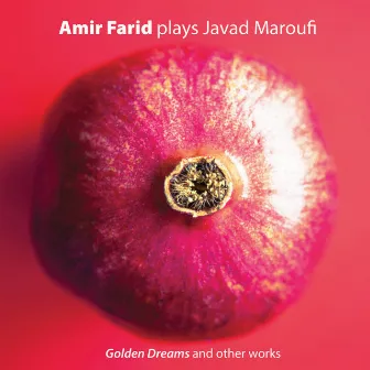 Amir Farid plays Javad Maroufi by Move Records