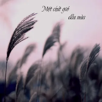 Một Chút Gió Đầu Mùa by Ngọc Tân