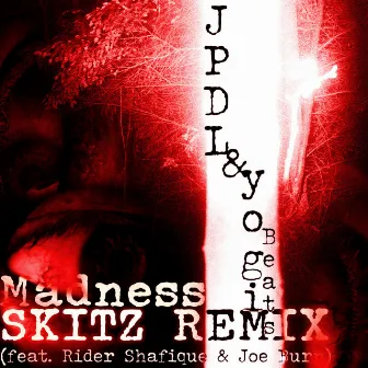 Madness (Skitz Remix) by Skitz