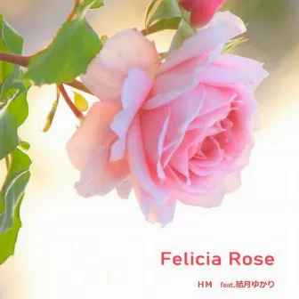 Felicia Rose by HM