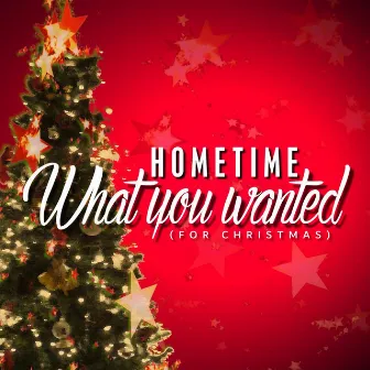 What You Wanted (For Christmas) by Hometime