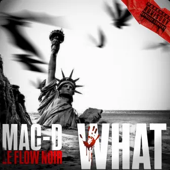 WHAT by Mac-D