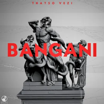 Bangani by Thatso Vezi