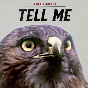 Tell Me by Tiny Fighter