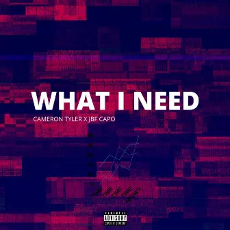 What I Need by Cameron Tyler