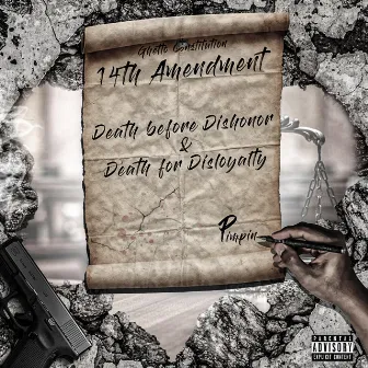 14th Amendment by Pimpin'