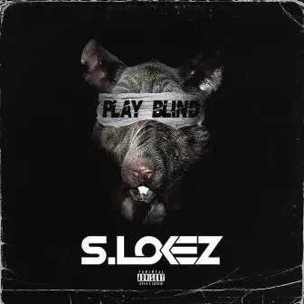 Play Blind by S.Lokez