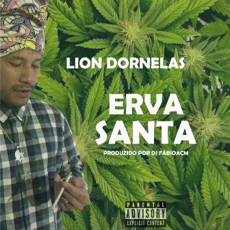 Erva Santa by Lion Dornelas