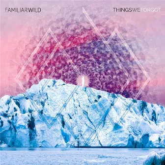 Things We Forgot by Familiar Wild