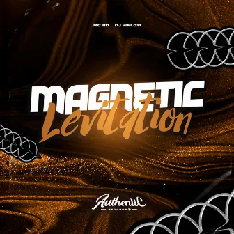 Magnetic Levitation by DJ VINI 011