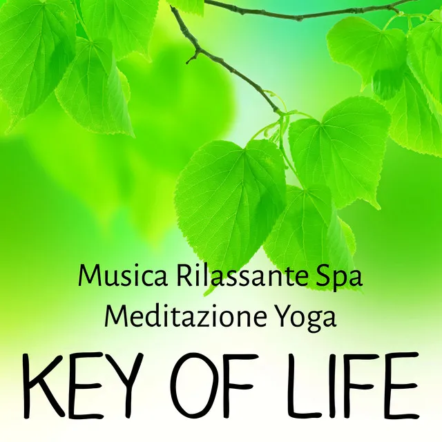 Key of Life - Musica Rilassante Spa Meditazione Yoga per Tecniche di Rilassamento Massaggi Benessere e Reiki Terapia