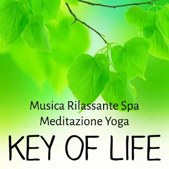 Key of Life - Musica Rilassante Spa Meditazione Yoga per Tecniche di Rilassamento Massaggi Benessere e Reiki Terapia by Daily Meditation Music Society