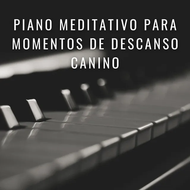 Piano Calmante Para La Mente Del Perro