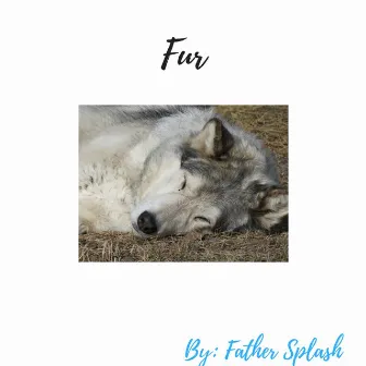 Fur by Father Splash