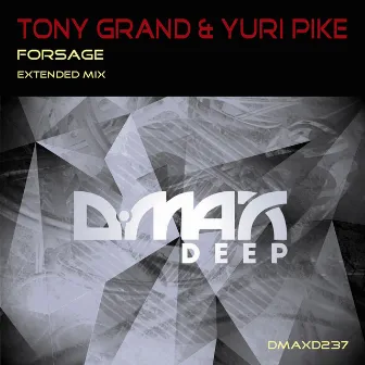 Forsage (Extended Mix) by YURI PIKE