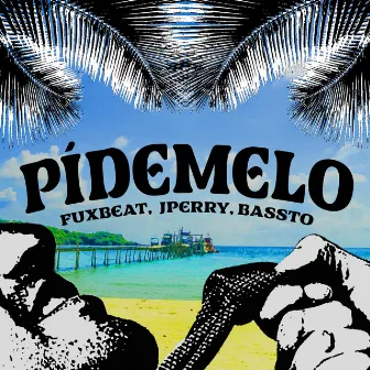 Pidemelo by Fux Beat