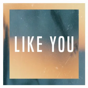 Like You by Kayou.