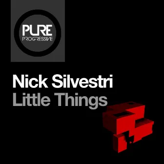 Little Things by Nick Silvestri