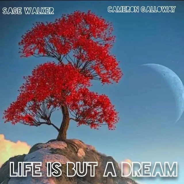 Life is but a Dream