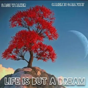 Life is but a Dream by Sage Walker