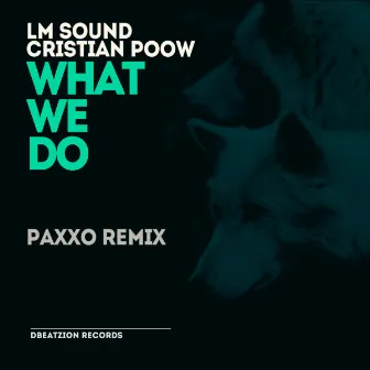 What We Do (Paxxo Remix) by LM Sound