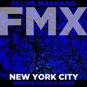 New York City (Remove Silence Remix) by Felipe Machado