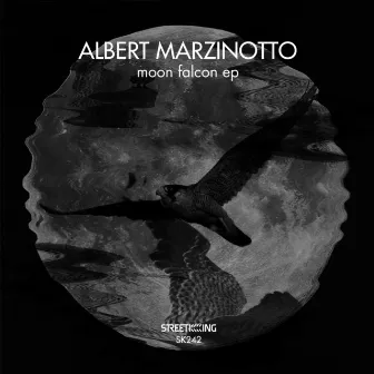 Moon Falcon by Albert Marzinotto