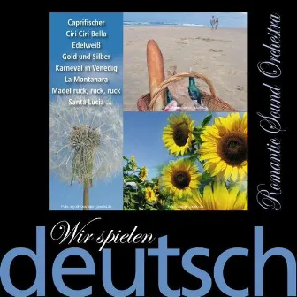 Wir spielen deutsch - Caprifischer by Romantic Sound Orchestra