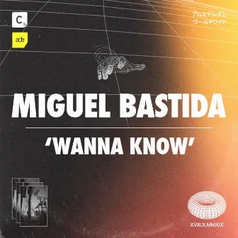 Wanna Know by Miguel Bastida