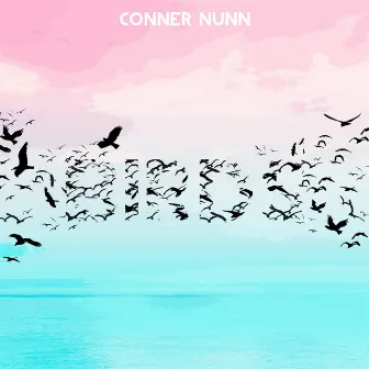 birds by Conner Nunn