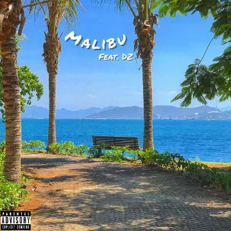 Malibu by Holloway