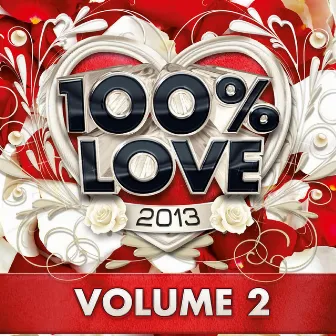 100% Love 2013, Vol. 2 by Audiogroove