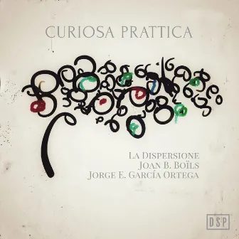 Curiosa prattica by Joan B. Boils