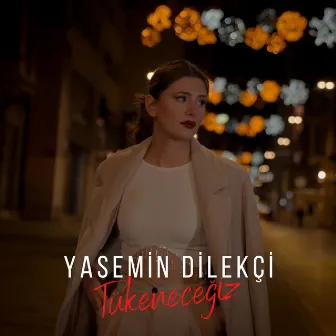 Tükeneceğiz by Yasemin Dilekçi