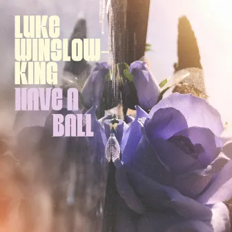 Have A Ball by Luke Winslow-King