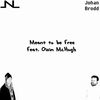 Meant to be Free by Johan Brodd