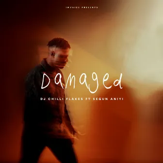 Damaged by Segun Aniyi