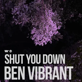 Shut You Down by Ben Vibrant