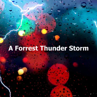 A Forrest Thunder Storm by Rain Sound