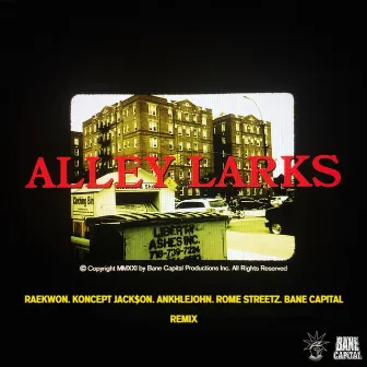 Alley Larks (Remix) by Bane Capital