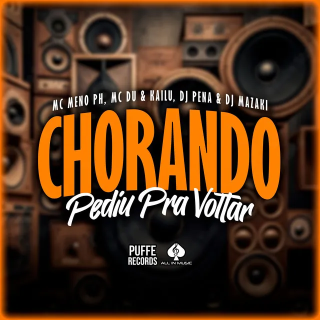 Chorando Pediu pra Voltar (feat. KAILU & DJ MAZAKI)