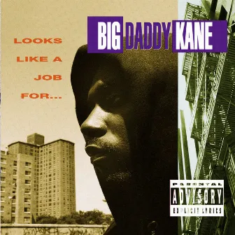 Looks Like A Job For... by Big Daddy Kane