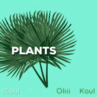 Plants by Koul