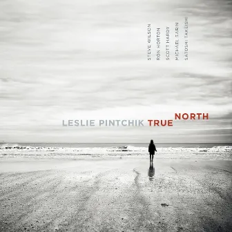 True North by Leslie Pintchik