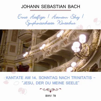 Ernst Haefliger / Hermann Schey / Symphonieorchester Winterthur play: Johann Sebastian Bach: Kantate am 14. Sonntag nach Trinitatis - 